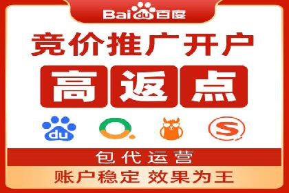 百度竞价广告投放策略案例